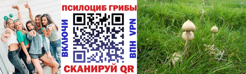 купить наркотики сайты  Лахденпохья  Псилоцибиновые грибы прущие грибы 