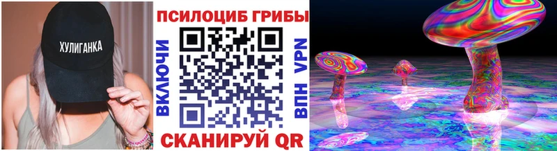 Галлюциногенные грибы Psilocybe Лахденпохья